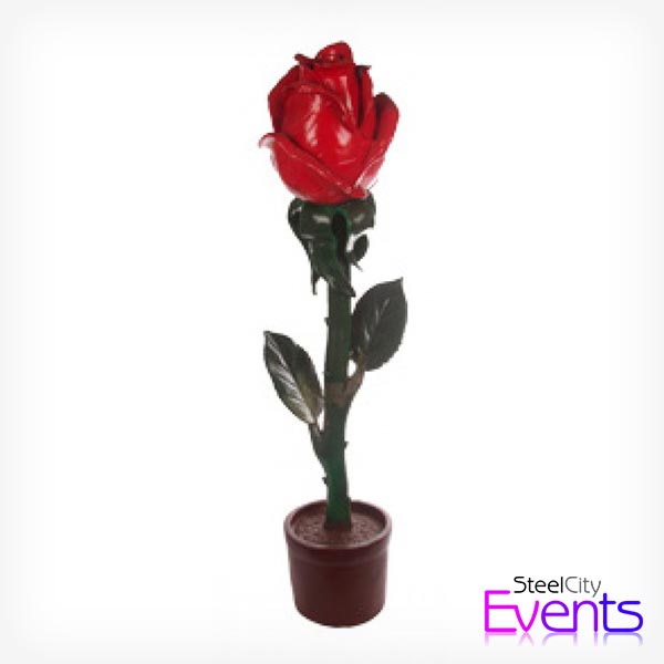 Giant Red Rose