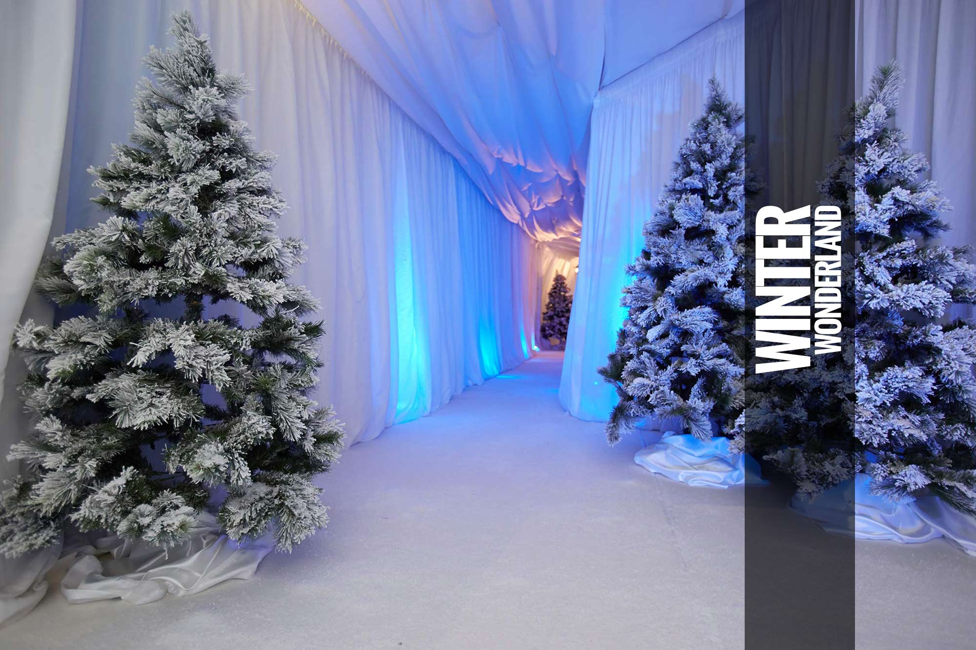 Winter Wonderland Themed Events Parties For Hire