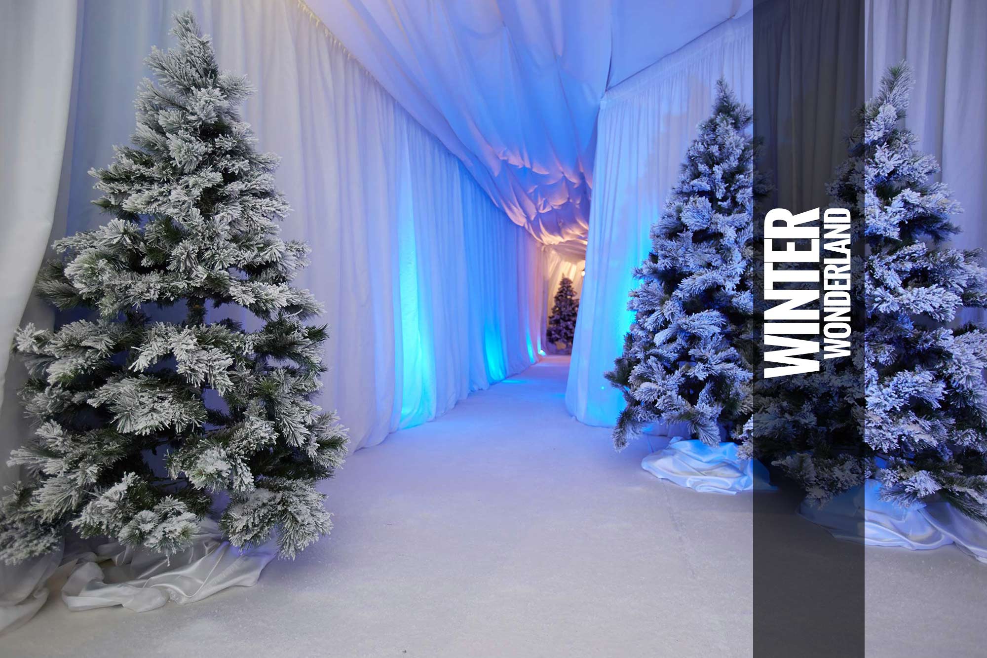 Winter Wonderland Themed Events & Parties  Winter 