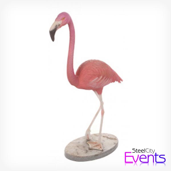 Pink Flamingo