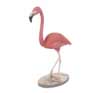 Pink Flamingo